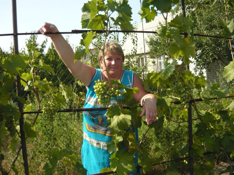 Елена Шпак | Мурманск