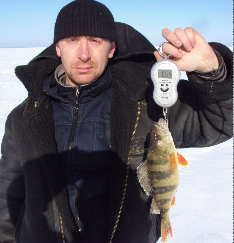 Сергей Щипунов | Санкт-Петербург