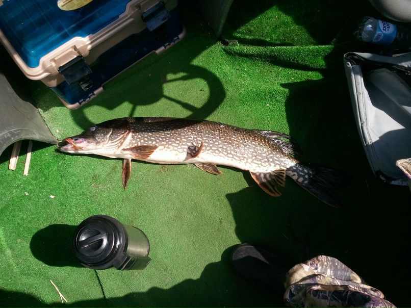 Сергей Рябов EldMaster | 