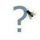 Владимир Безфамильный ॐполутрупॐ | Москва