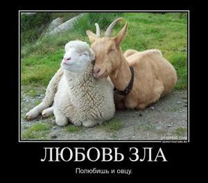 Антон Morozz Сергеевич | Владивосток