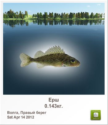 Санёк Сизов | Саратов