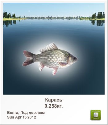 Санёк Сизов | Саратов