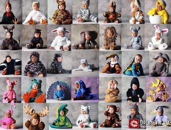 Егор Бондаренко Абрикос | Киев