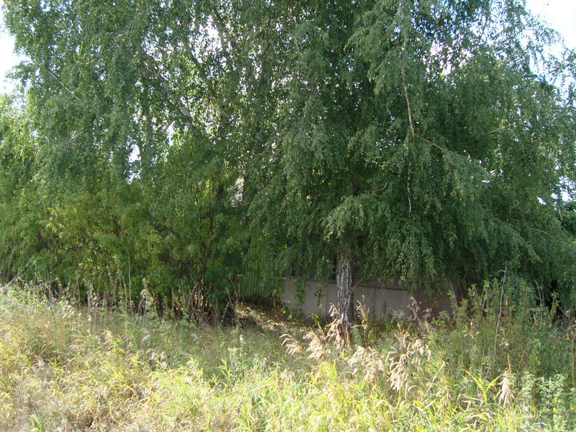 Дима Терентьев | Санкт-Петербург