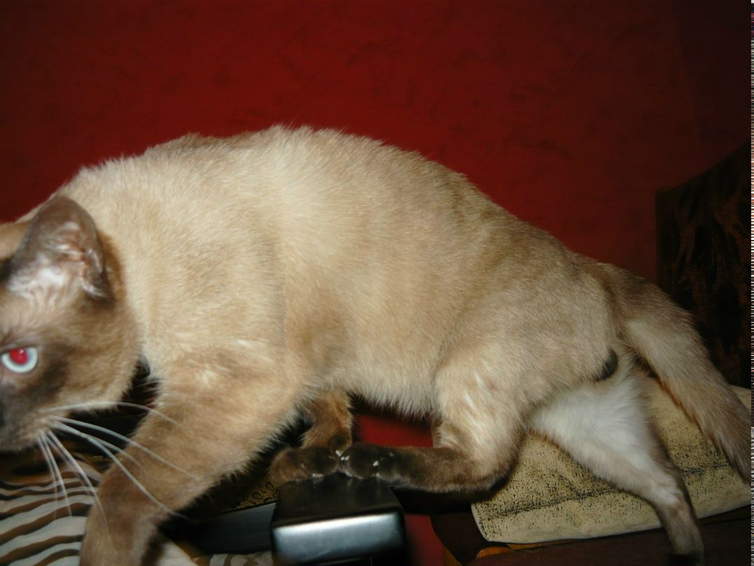 Инна Лобода | Мариуполь