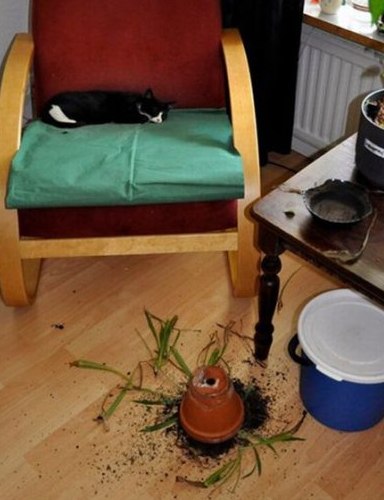 Олексій Безродний | Киев