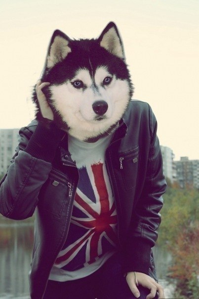 Илья Маковецкий | 