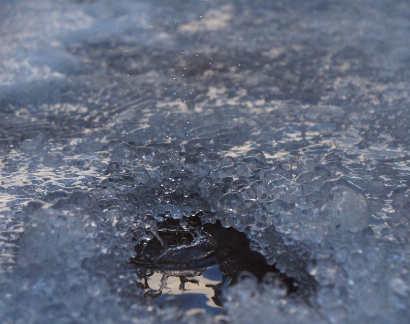 Serg Vakhrushev | Ижевск