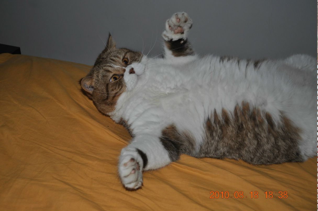 Юлия Заславски | 