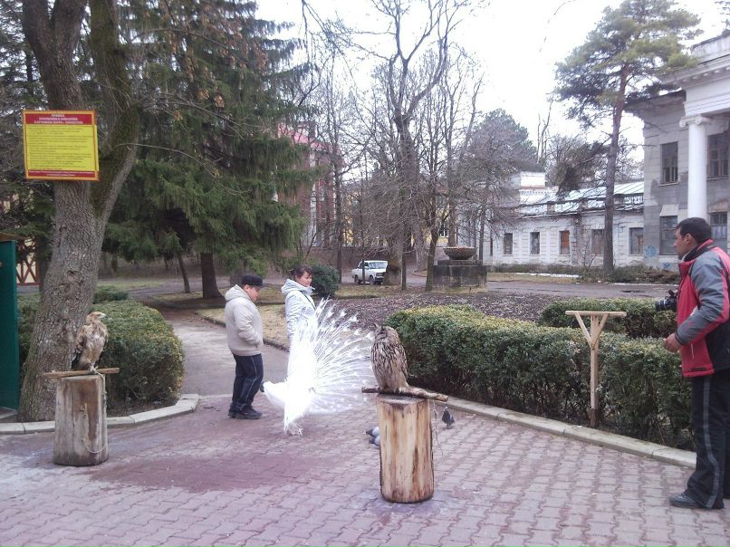 Александр Конюшенко КотАпездол | Москва