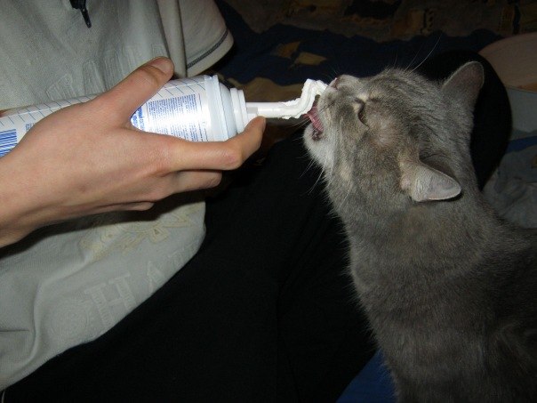 Лизонька Колготова | Алматы