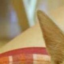 №72, Александр Нетипанов, 46 лет, Санкт-Петербург №72, Александр Нетипанов, 46 лет, Санкт-Петербург