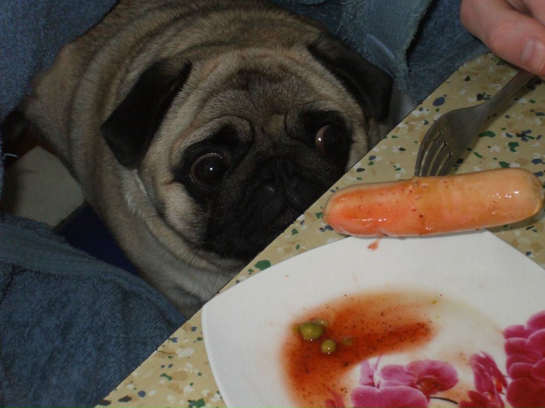 Стас Оленский | Минск