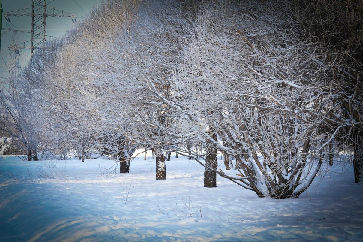 Наташик Захарова | Москва