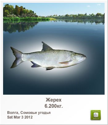 Василий Садовский | Мариуполь