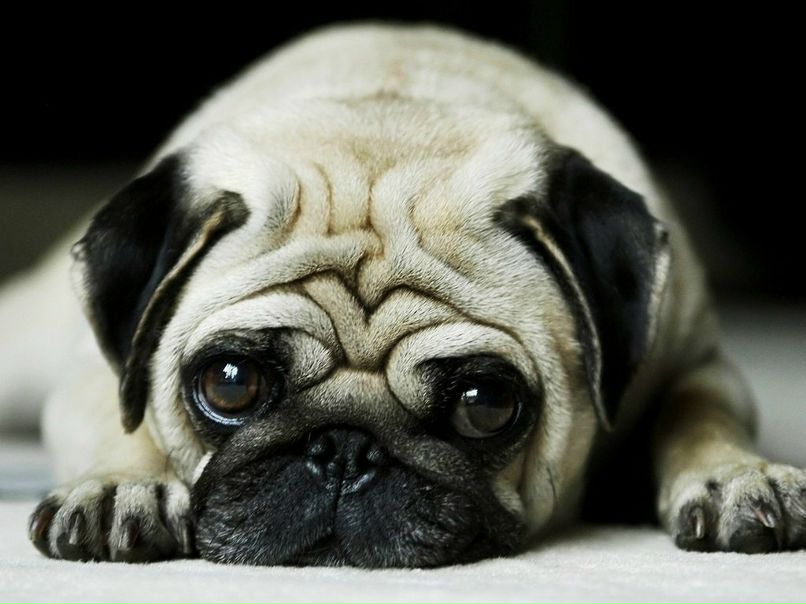 Дина Трошина | Казань