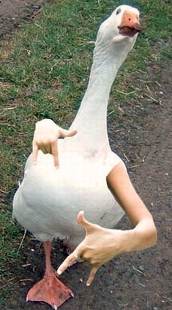 №34, Дима Дастанович, 27 лет, Киев №34, Дима Дастанович, 27 лет, Киев