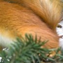 №19, Юлия Сосновская-Назарова, 35 лет, Москва, Россия №19, Юлия Сосновская-Назарова, 35 лет, Москва, Россия