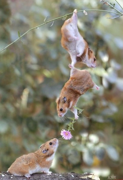 Анна Петренко | Киев