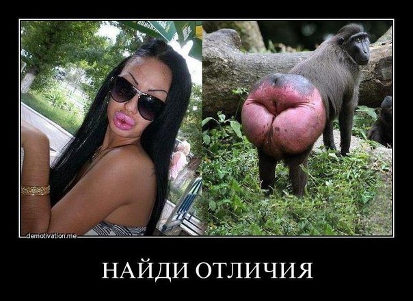 №99, Саша Нечитайло, 124 года №99, Саша Нечитайло, 124 года