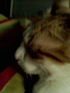 Дима Чумаков | Альметьевск