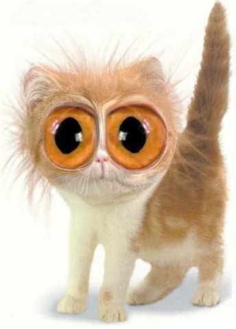 Світлана Шума | Львов