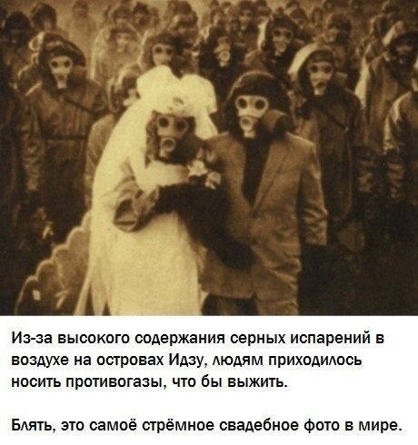 Алла Шаврак | 