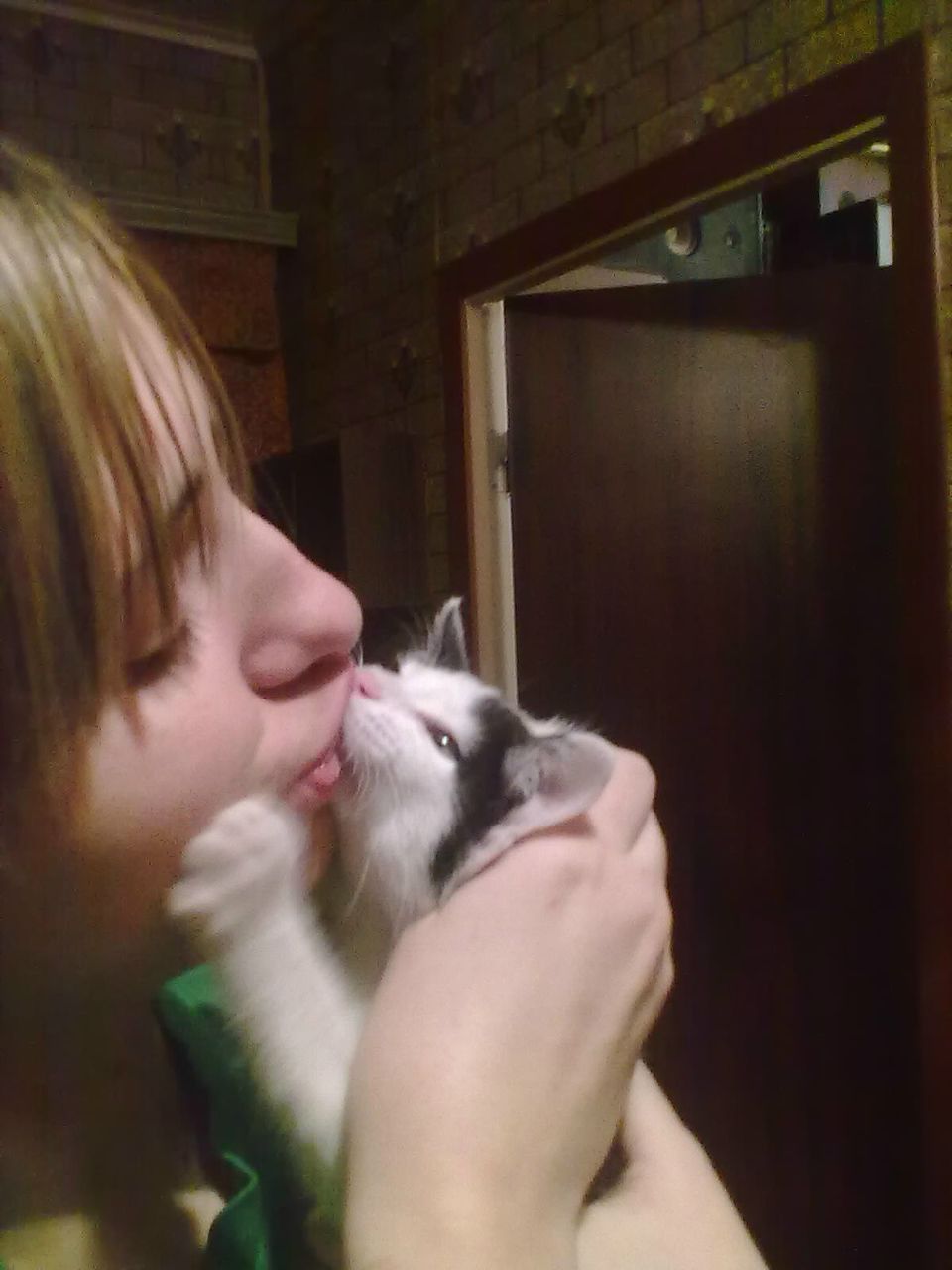 Алесса Самойлова | Raccoon