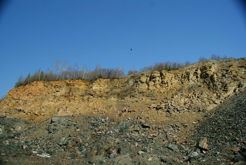 Иван Босниец | 