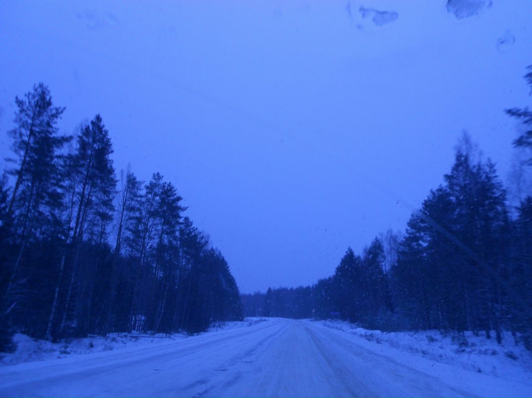 Данила Солонин | Тверь