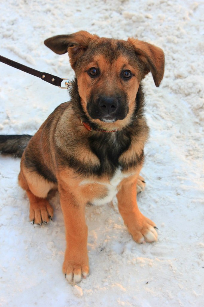 Екатерина Ширшова √Кисуля√ | Домодедово