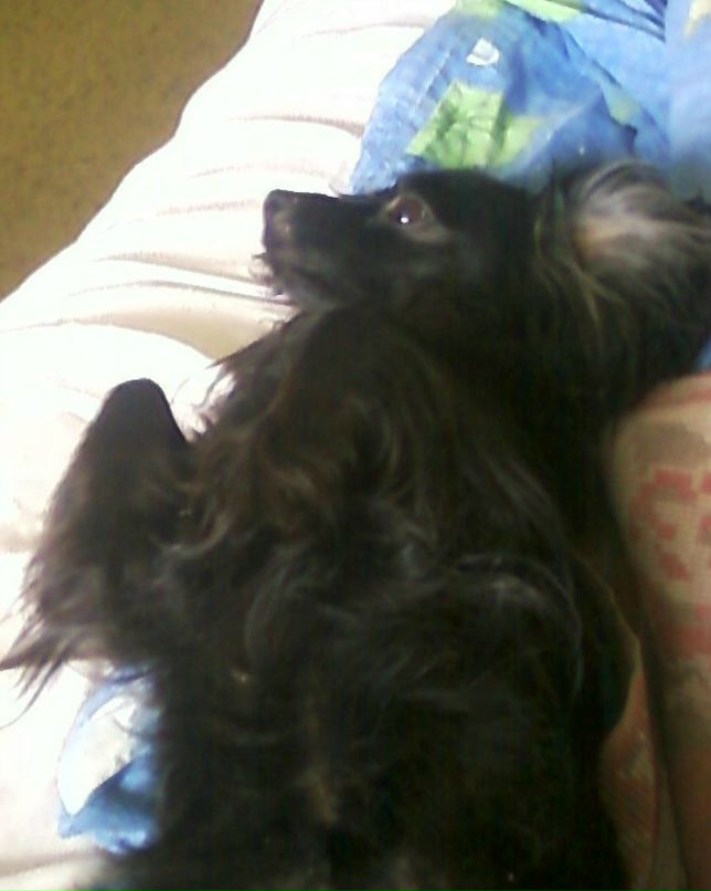 Fred Mamedov | Златоуст