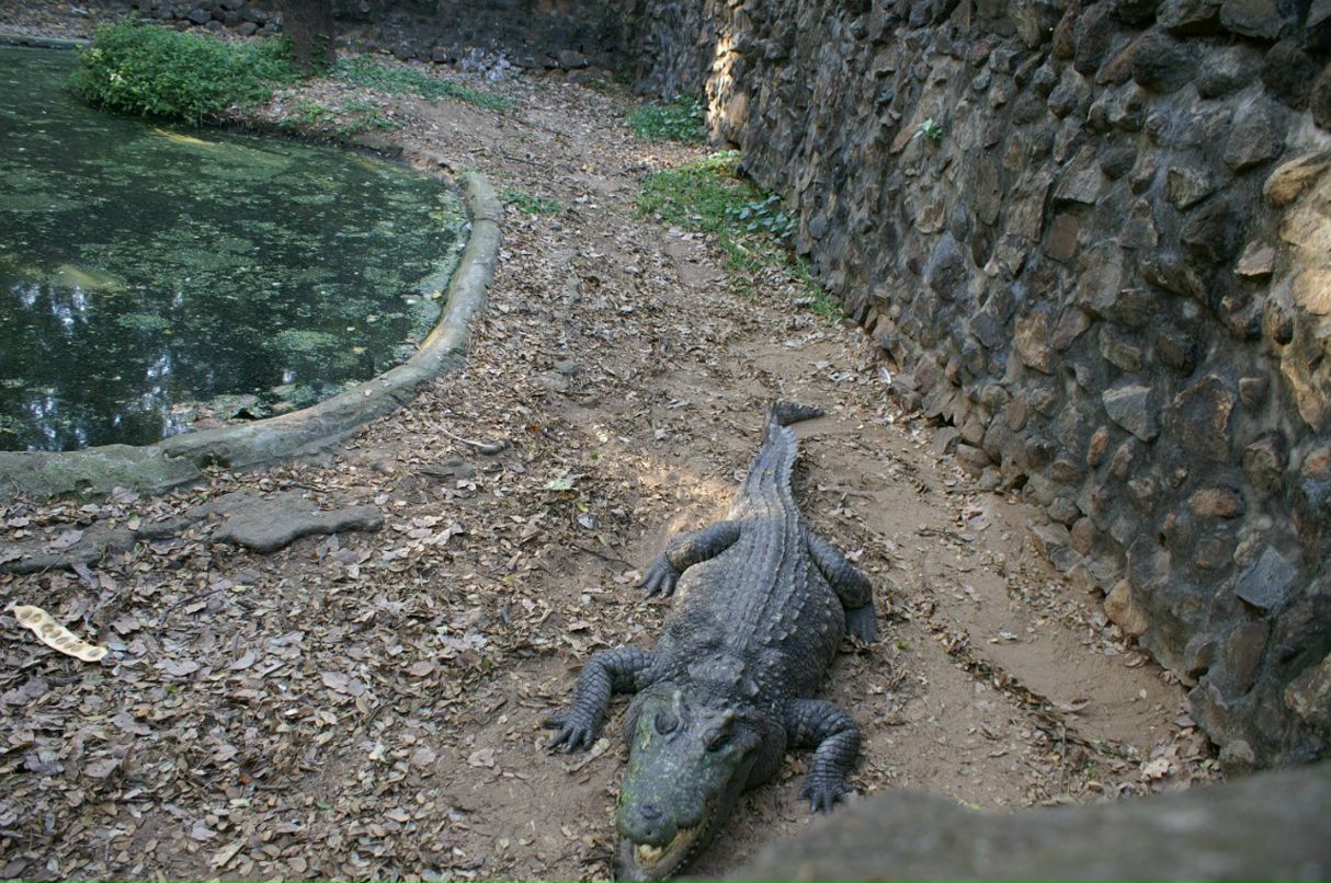 Ольга Кужель | Киев
