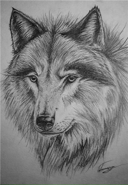 №20, Макс Елистратов, 37 лет, Кропивницкий / Кировоград №20, Макс Елистратов, 37 лет, Кропивницкий / Кировоград