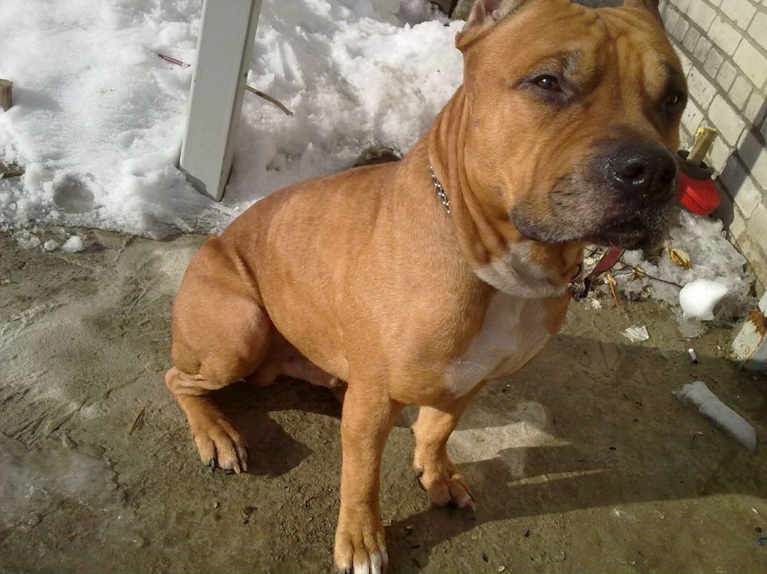 Юра Потапов | Сыктывкар