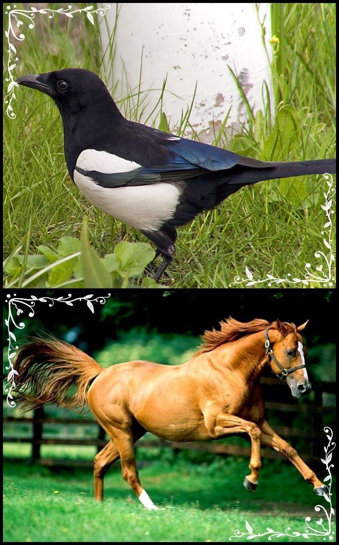 Юлия Сорокина | Камень-на-Оби