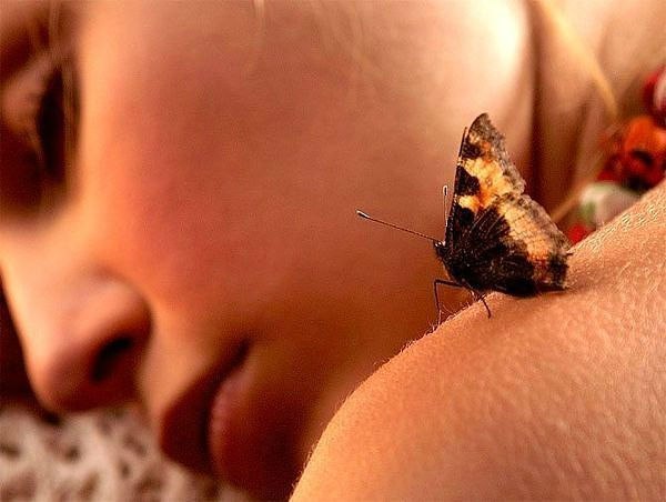 №62, Ольга Мечтаева, Рязань №62, Ольга Мечтаева, Рязань