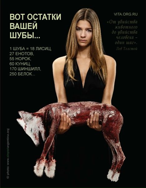 №90, Марина Жизнь, Чернигов №90, Марина Жизнь, Чернигов