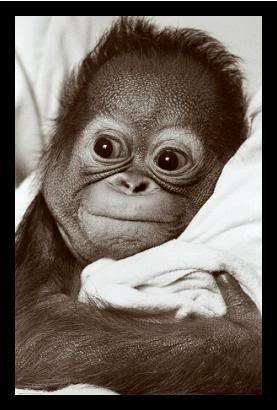 Валя Минина | Клетня