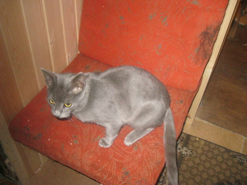 Павел Савушкин | Рязань (деревня)