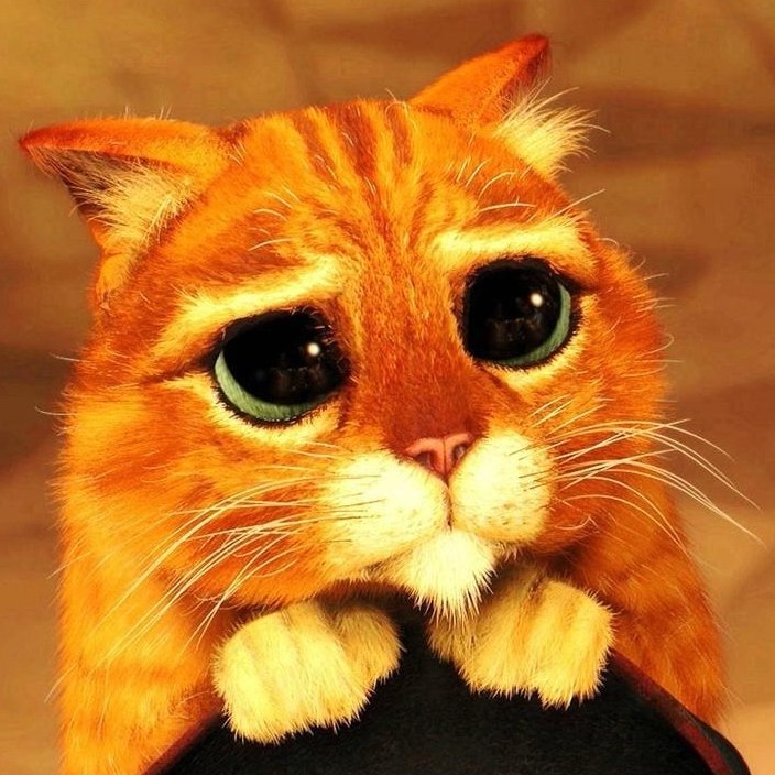 Евгений ******* | London