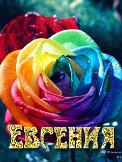 Евгения Слуцкая Александровна | Улан-Удэ