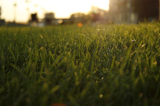 Виктория Алиева | Ставрополь