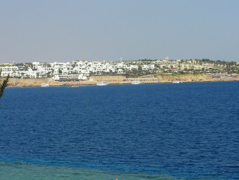 №59, Гоша Гордеев №59, Гоша Гордеев