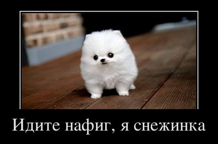 Катя Карасюк | Белгород