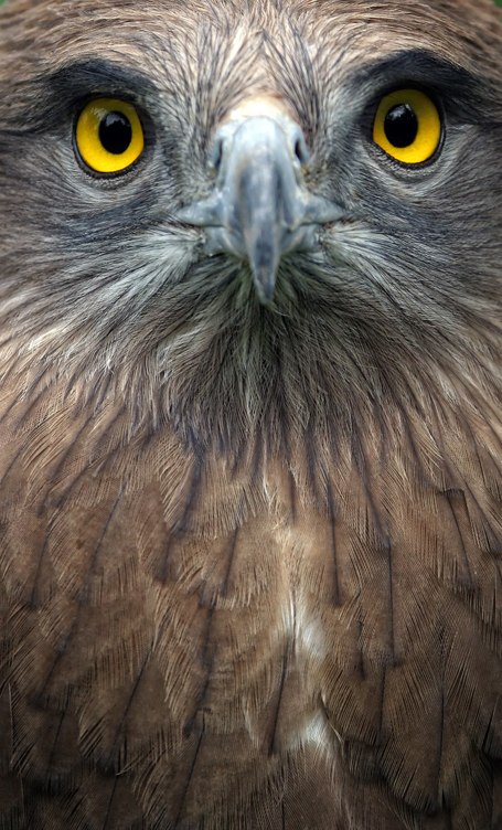 Елена Храмкина | Москва