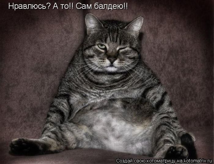 Алексей Каноев | Олонец