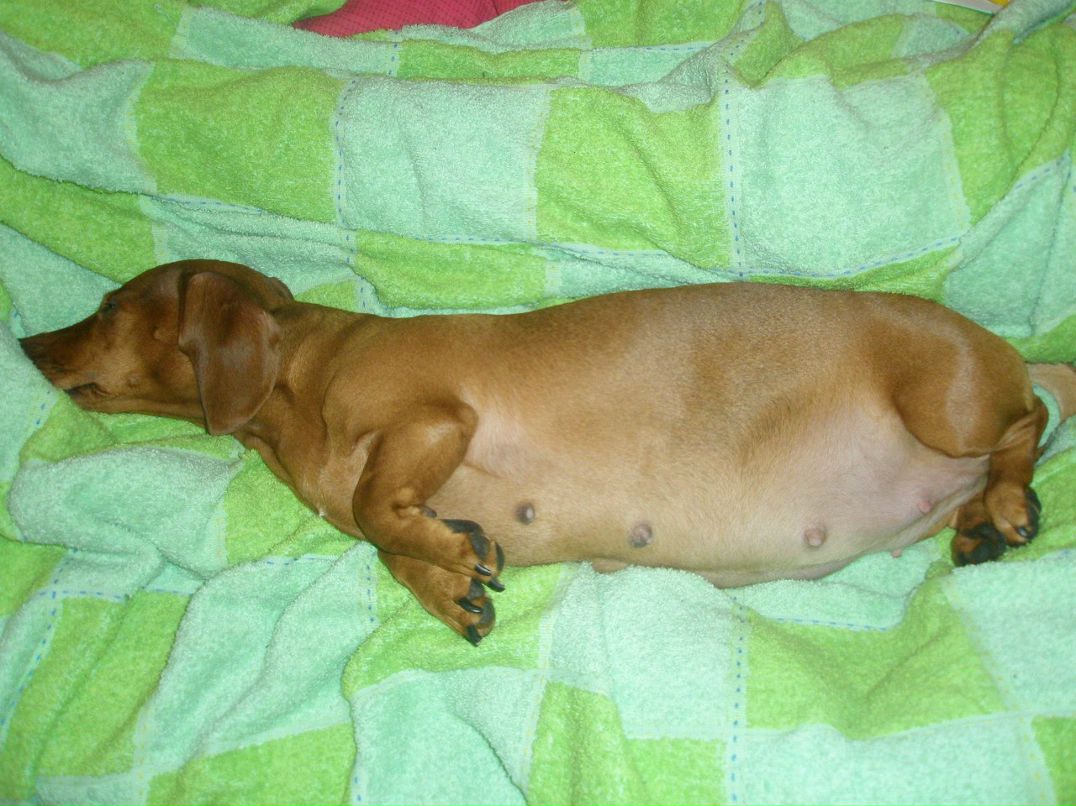 Павел Рытьков AntSpb | Санкт-Петербург