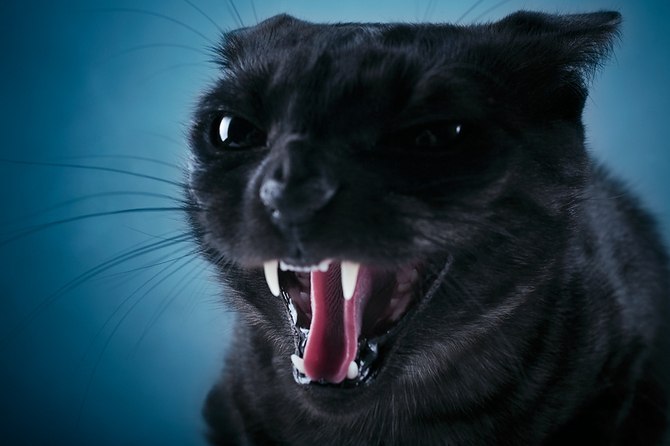 Виктория Мосалова | Москва